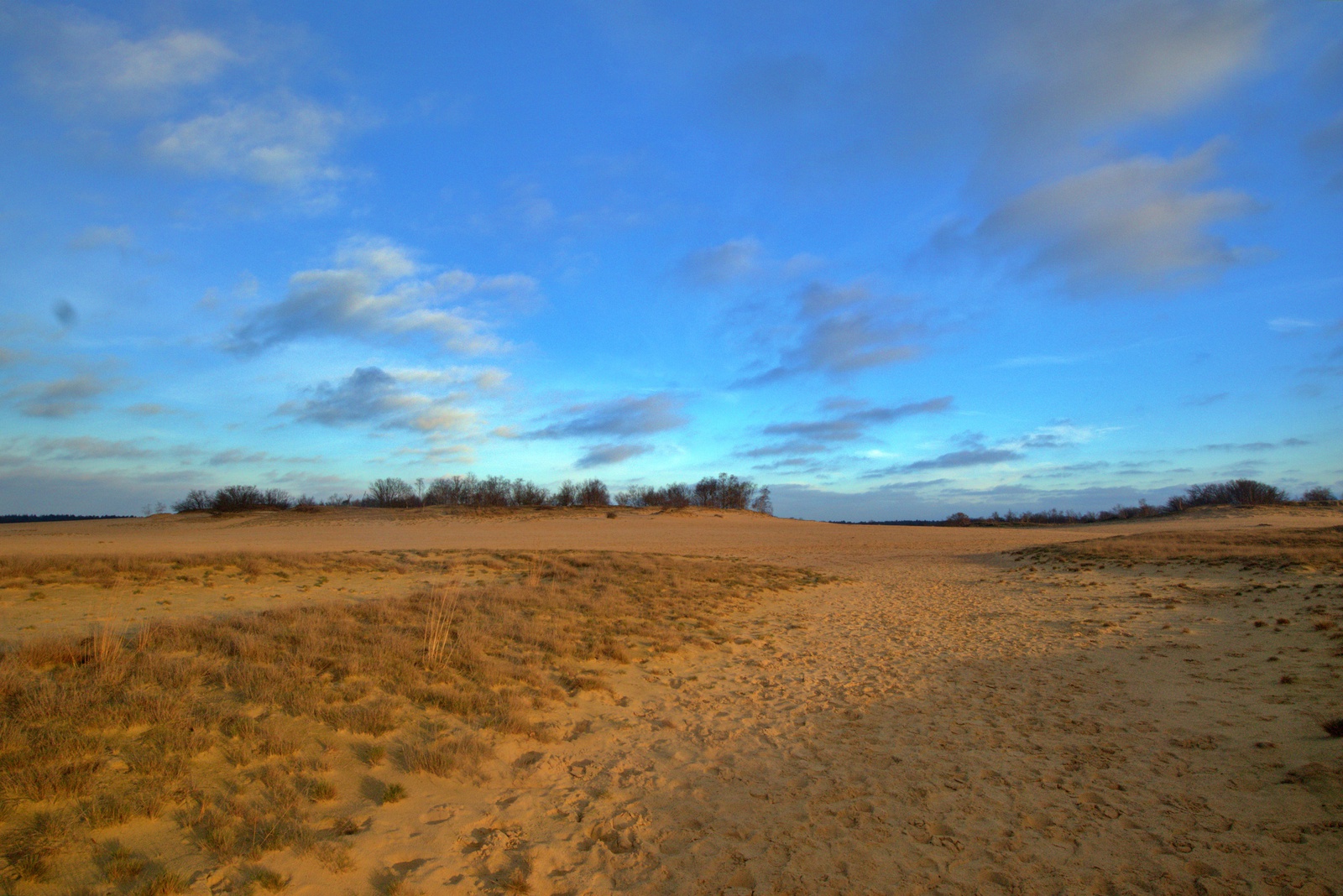 Loonse en Drunenseduinen