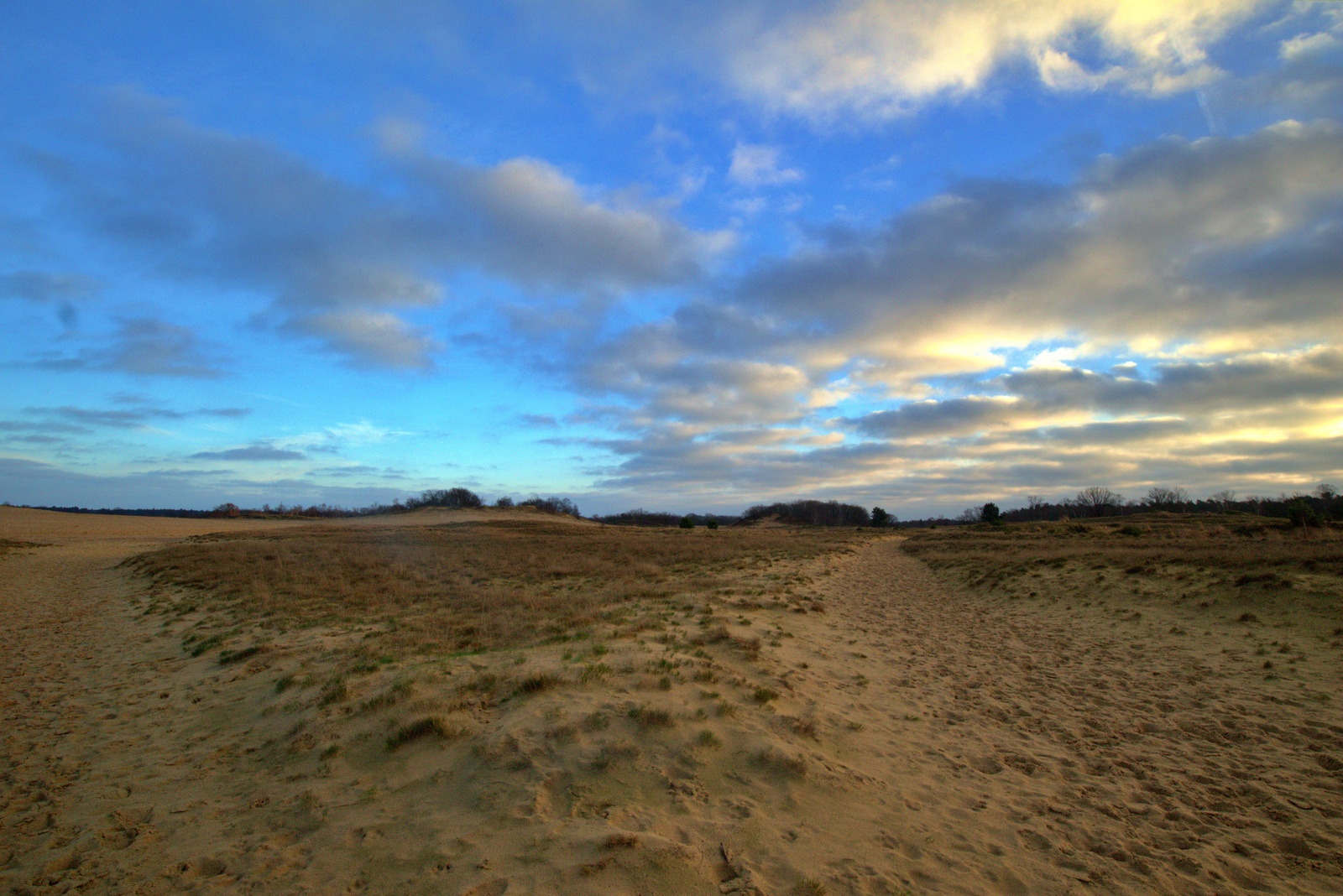 Loonse en Drunenseduinen