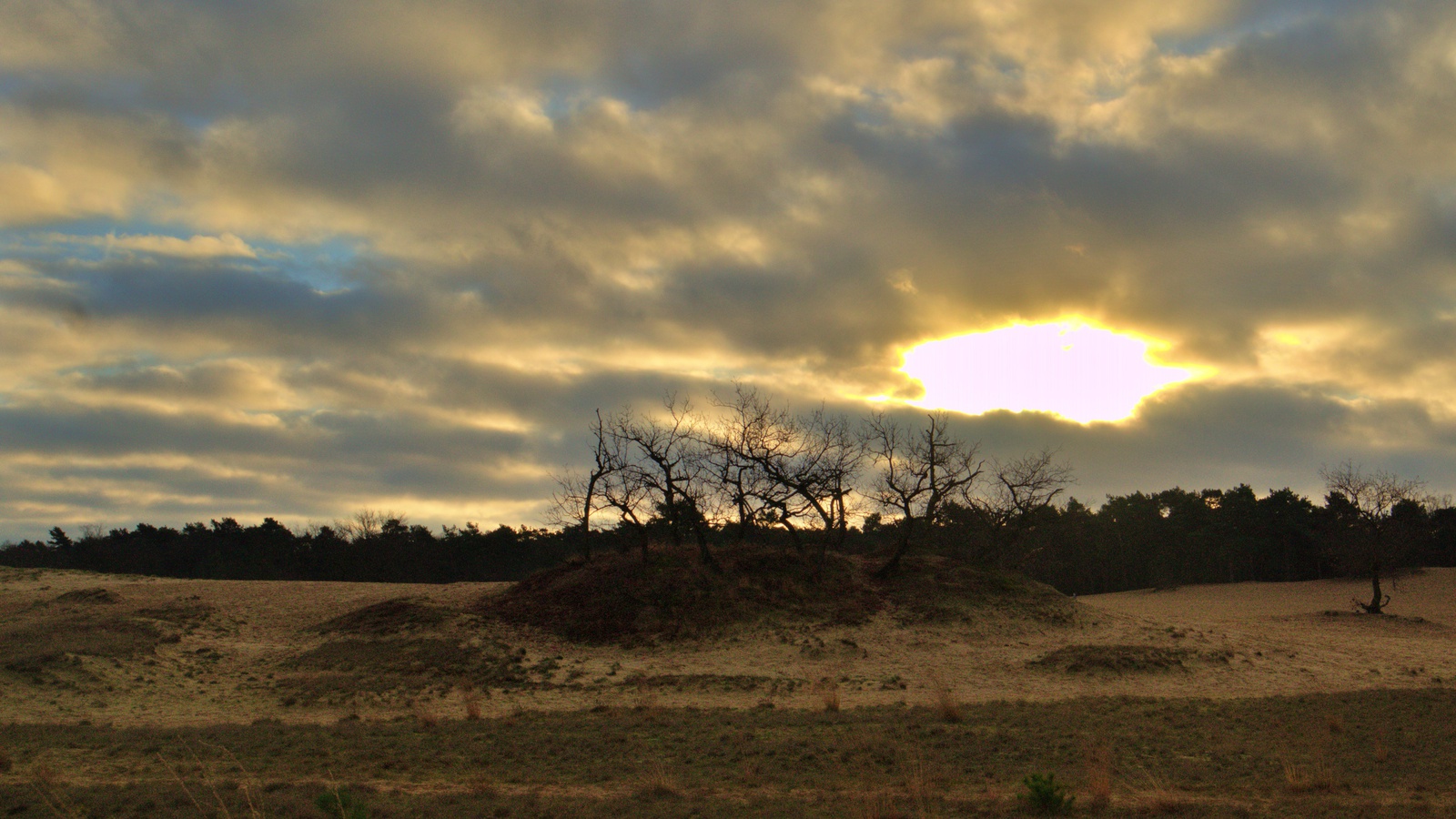 Loonse en Drunenseduinen