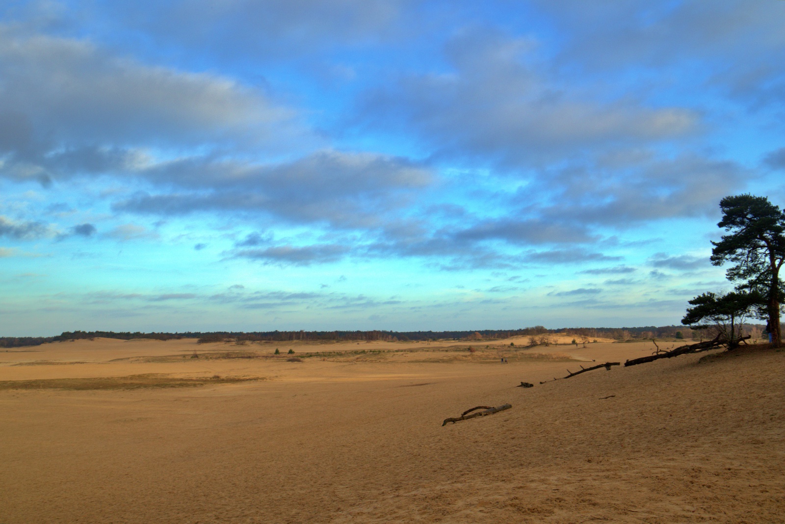 Loonse en Drunenseduinen