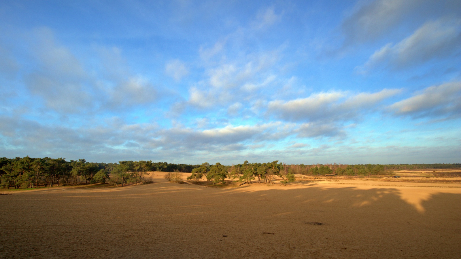 Loonse en Drunenseduinen