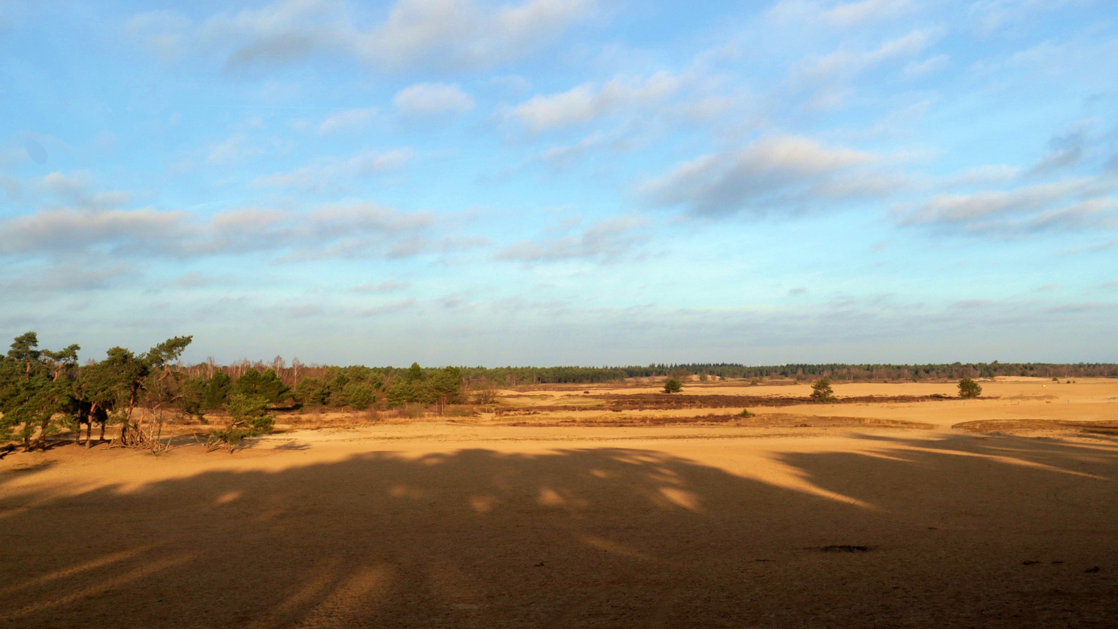 Loonse en Drunenseduinen