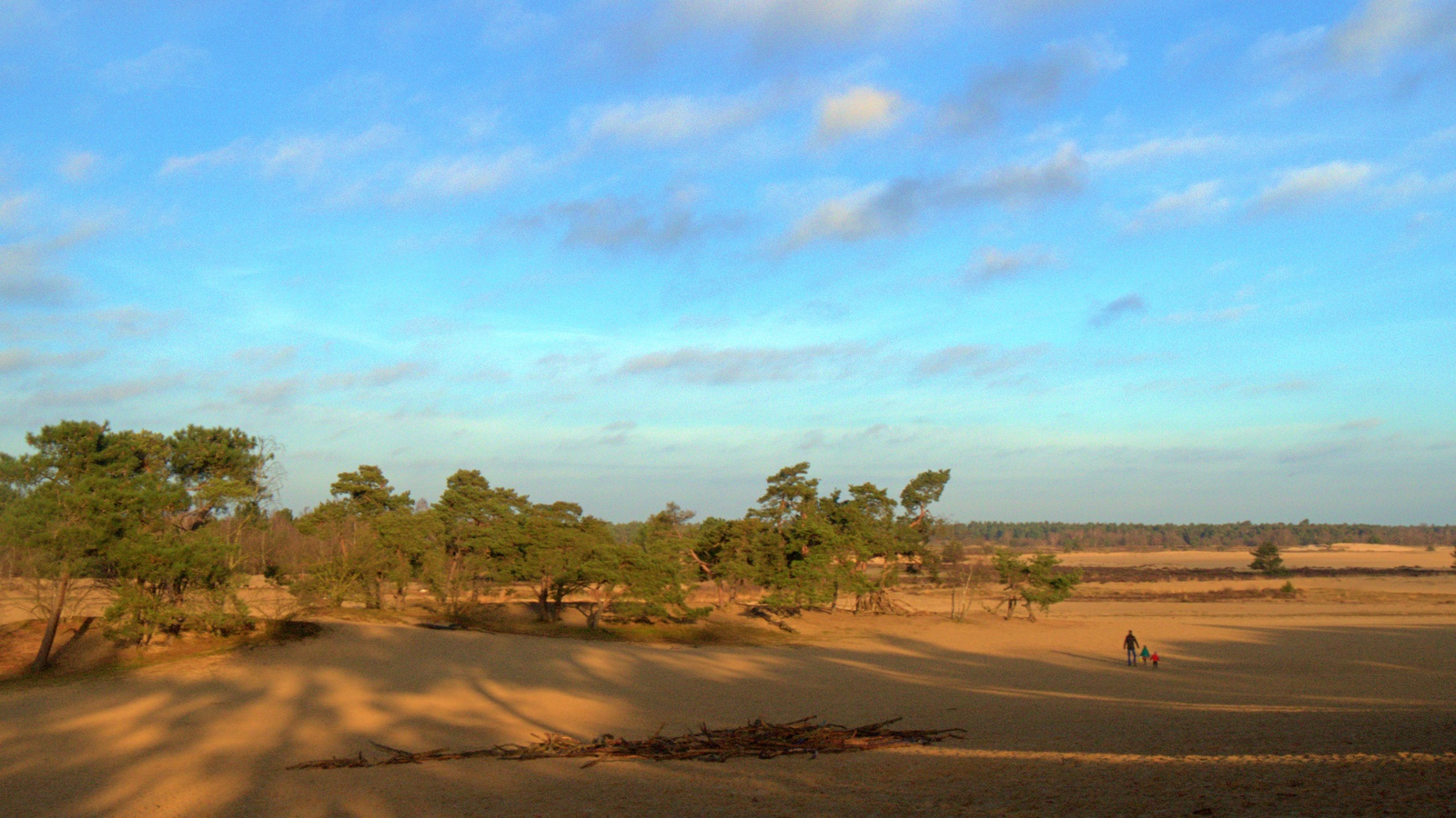 Loonse en Drunenseduinen