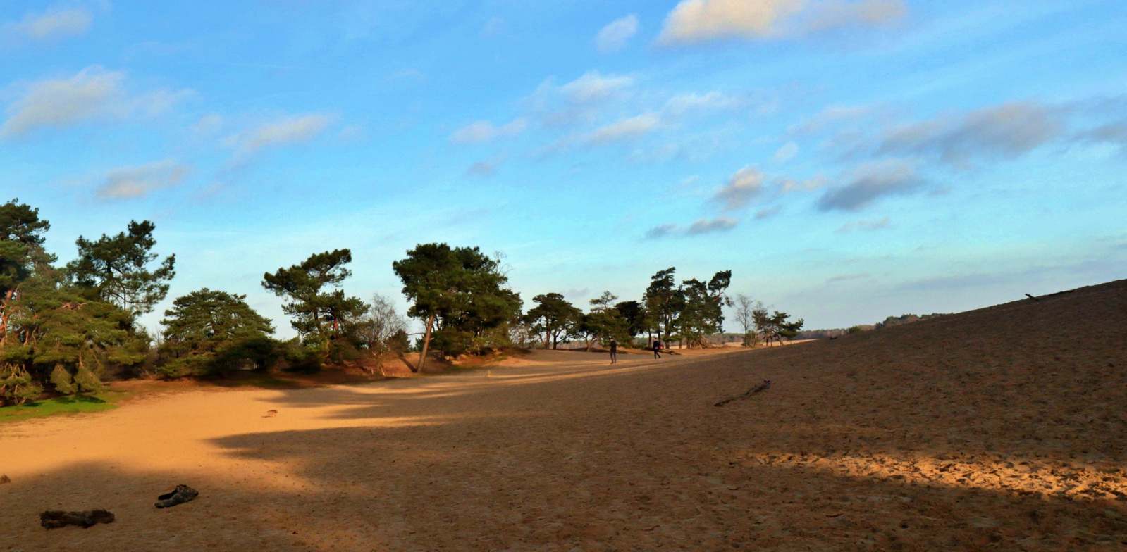 Loonse en Drunenseduinen