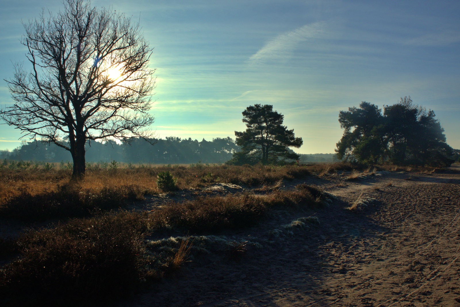 De Landschotse Heide