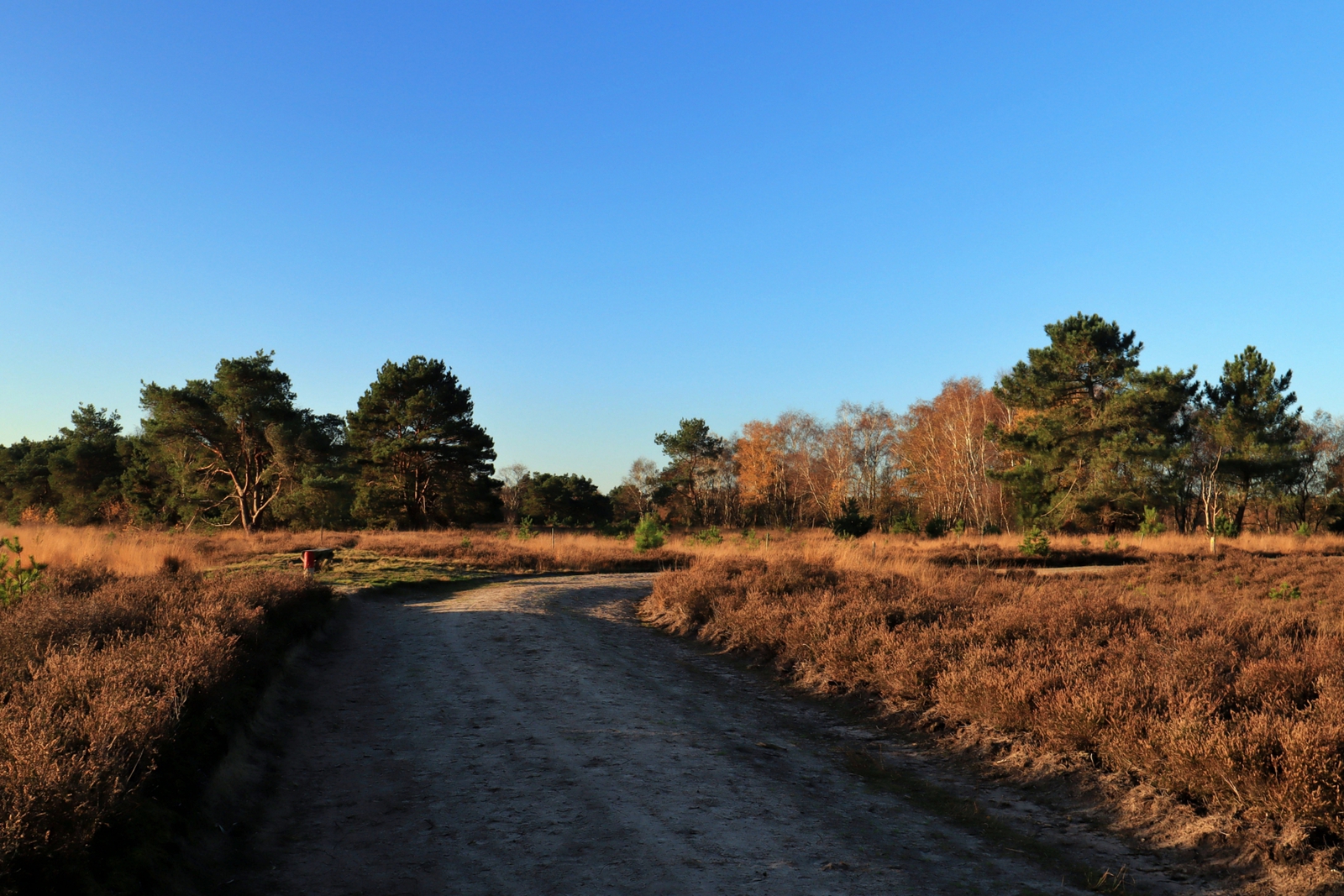 De Landschotse Heide
