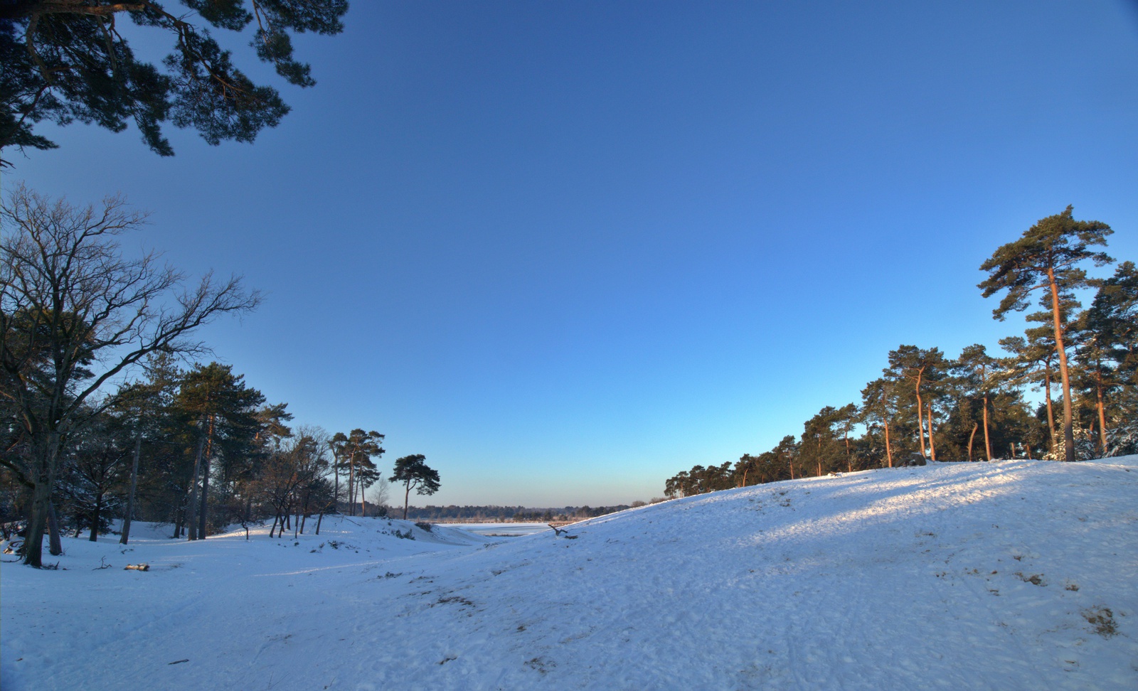 De Kampina in de sneeuw