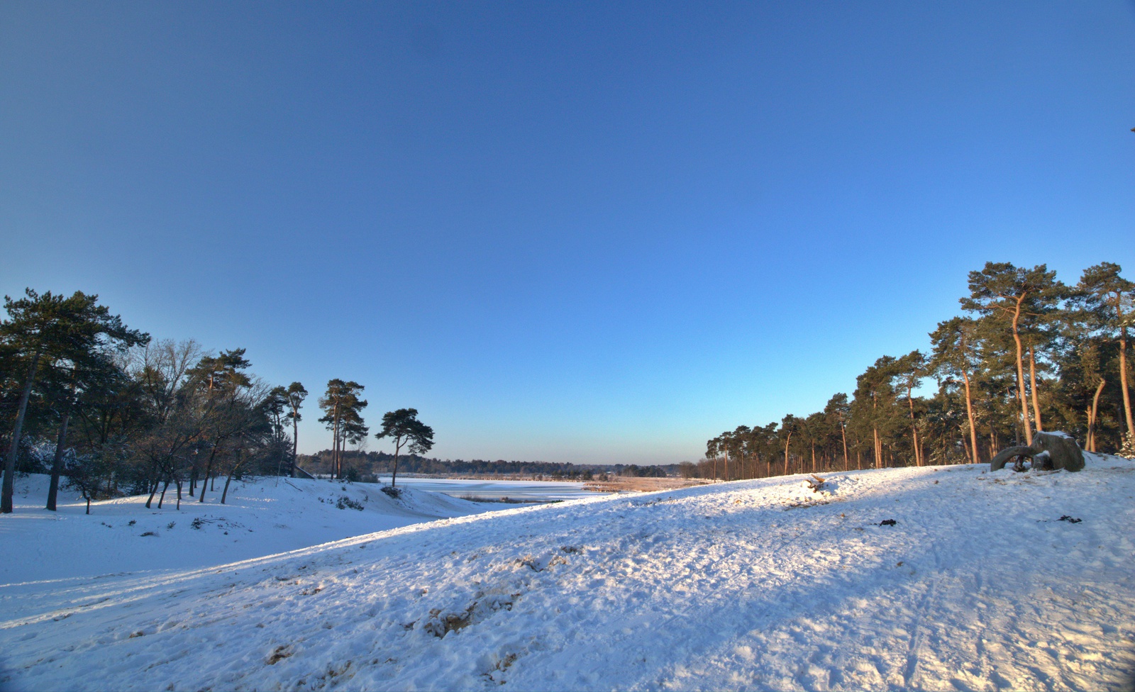 De Kampina in de sneeuw