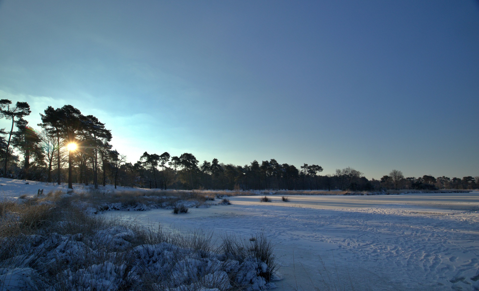 De Kampina in de sneeuw