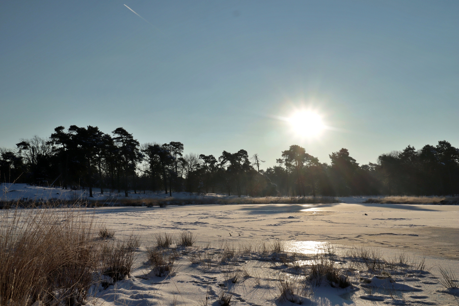 De Kampina in de sneeuw