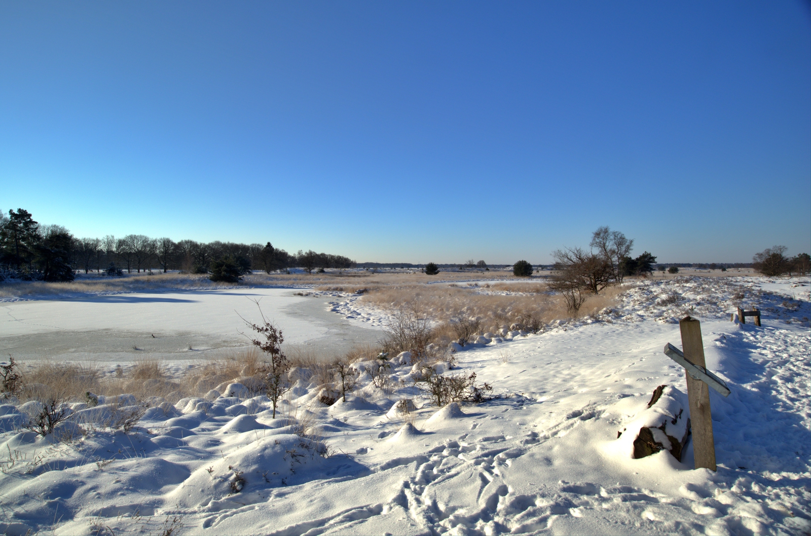 De Kampina in de sneeuw