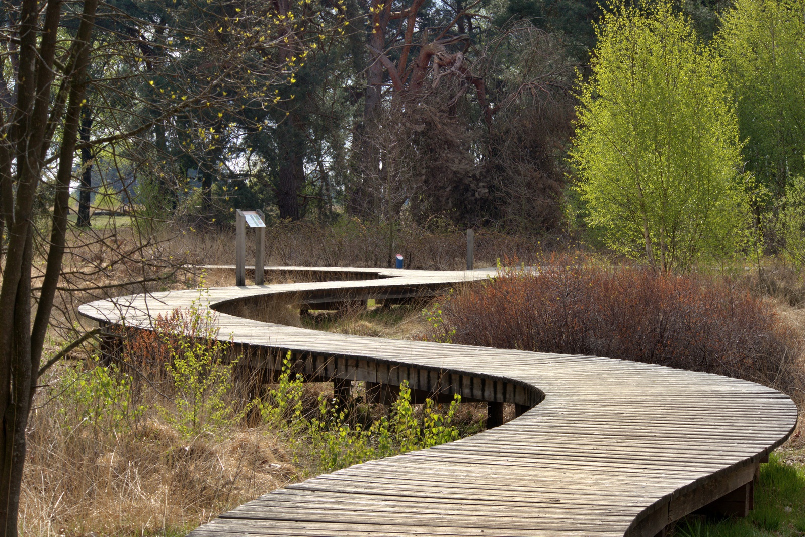 De Strabrechtse Heide