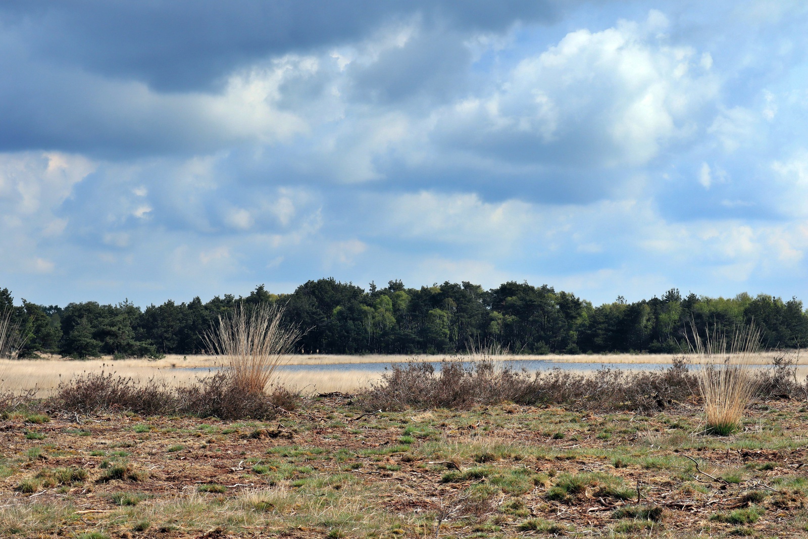 De Strabrechtse Heide