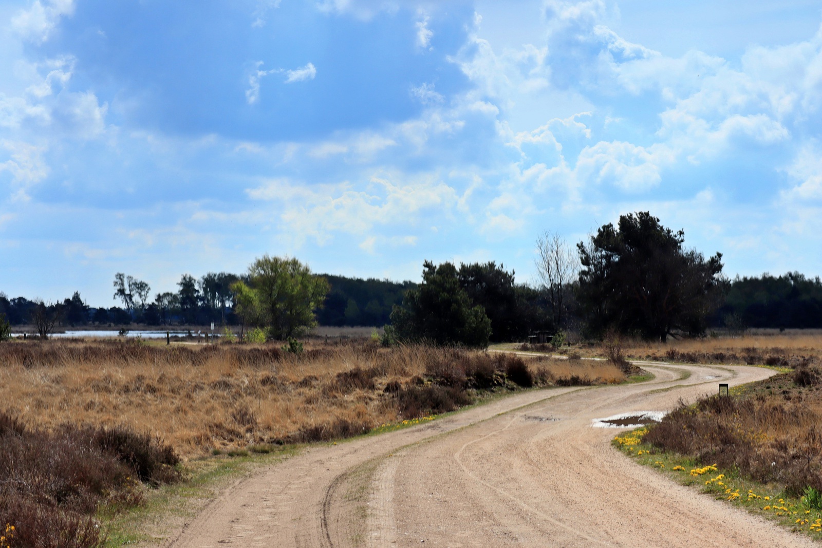 De Strabrechtse Heide