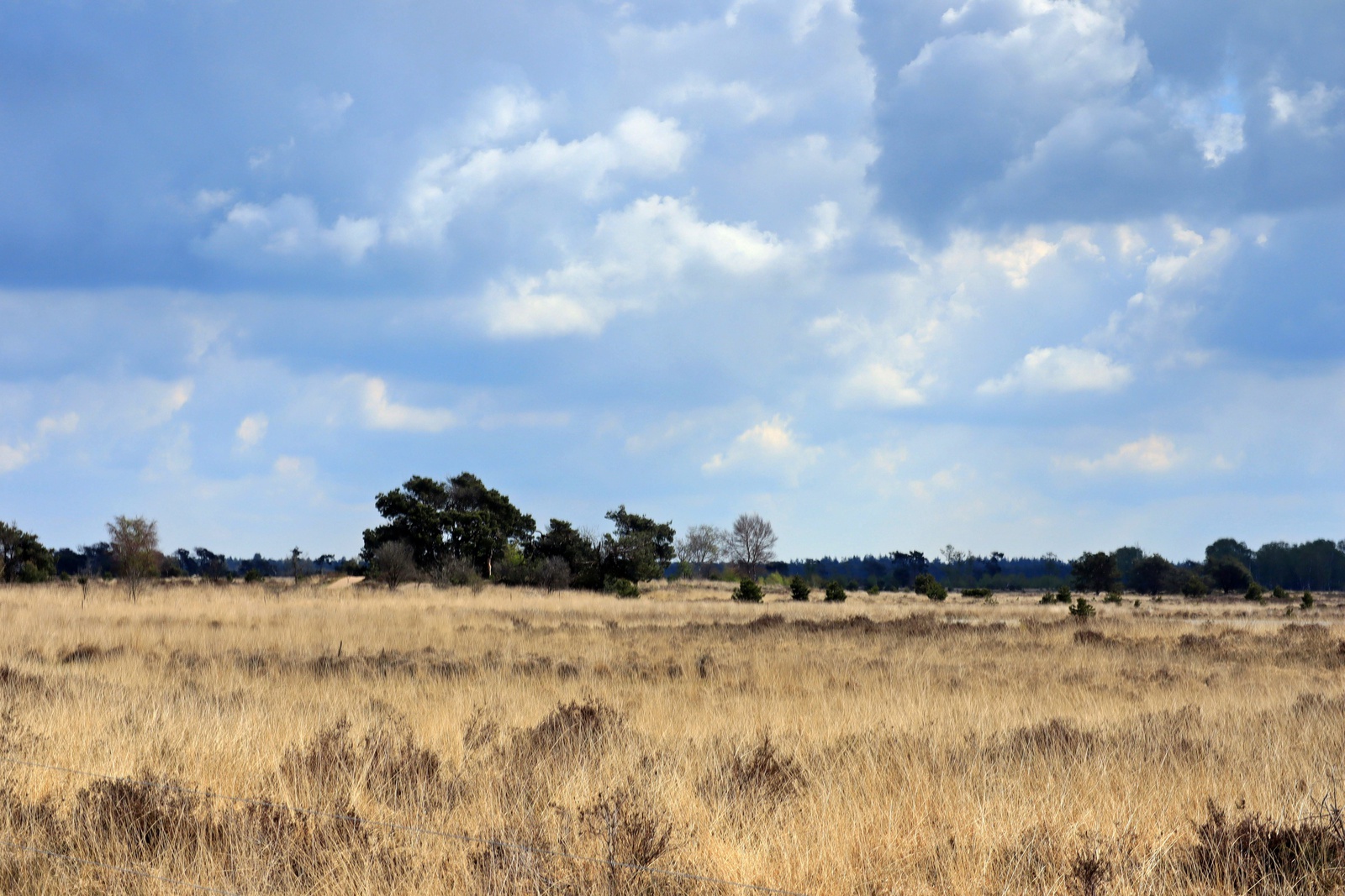 De Strabrechtse Heide
