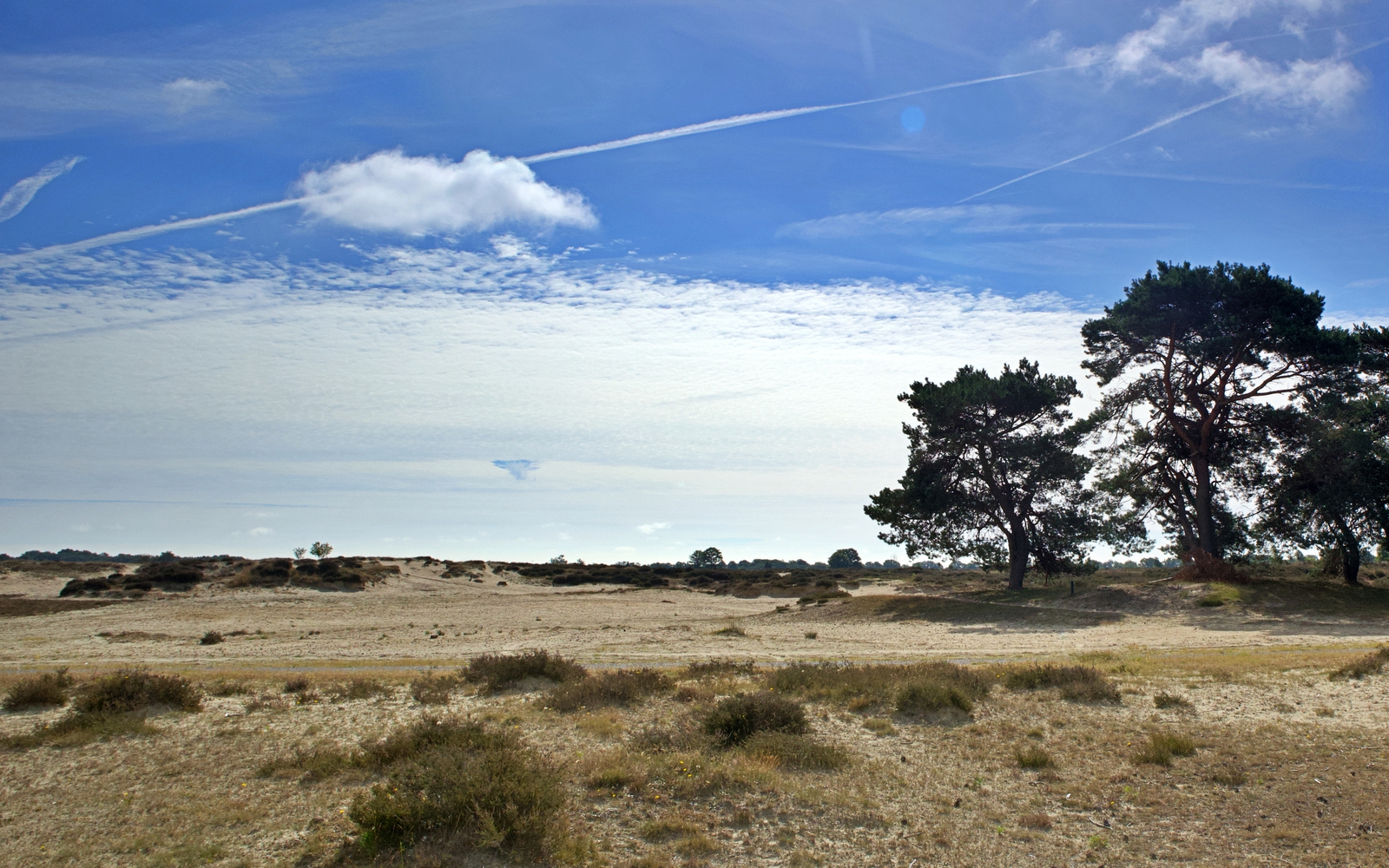 Het natuurgebied het Balloërveld
