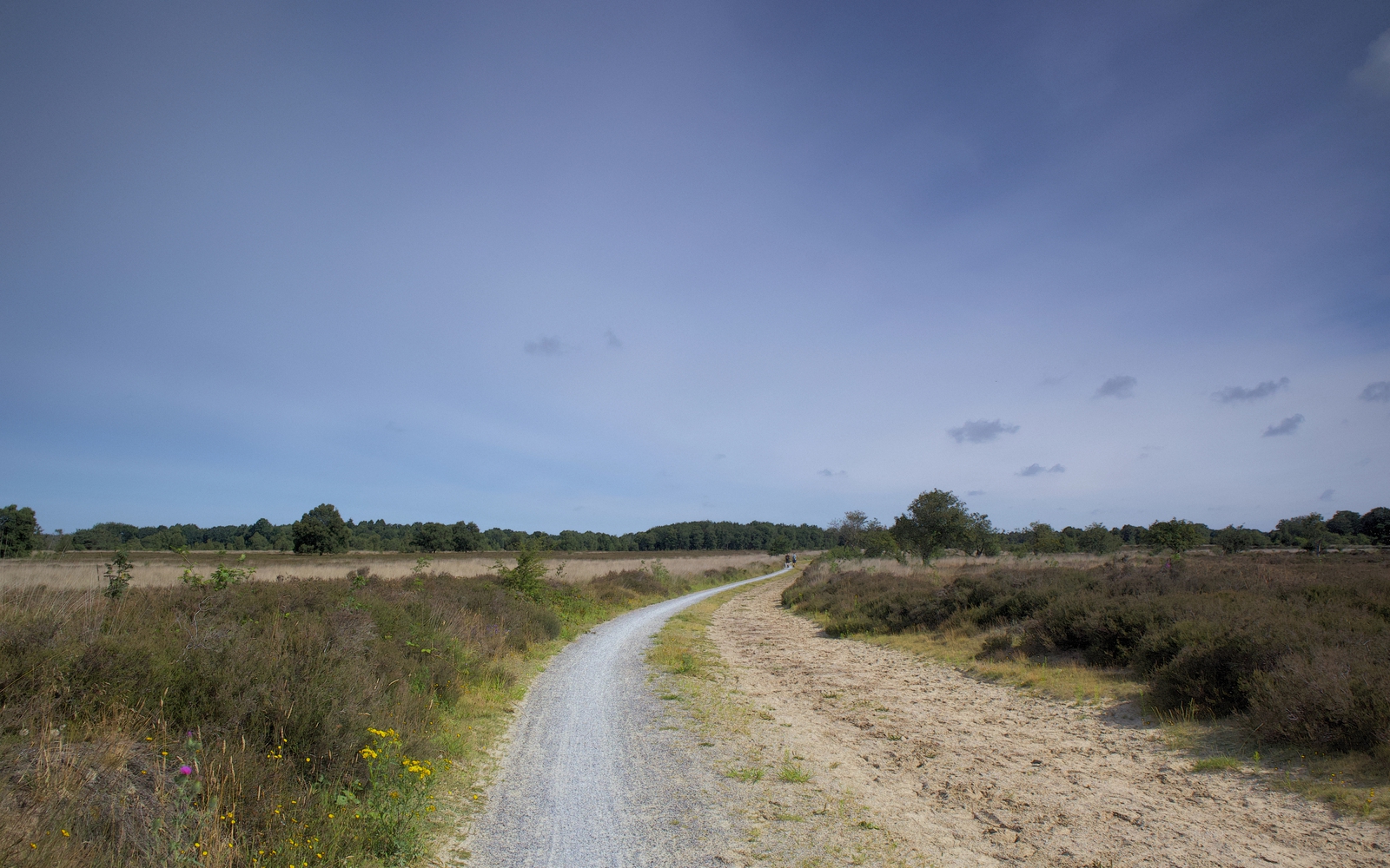 Het natuurgebied het Balloërveld