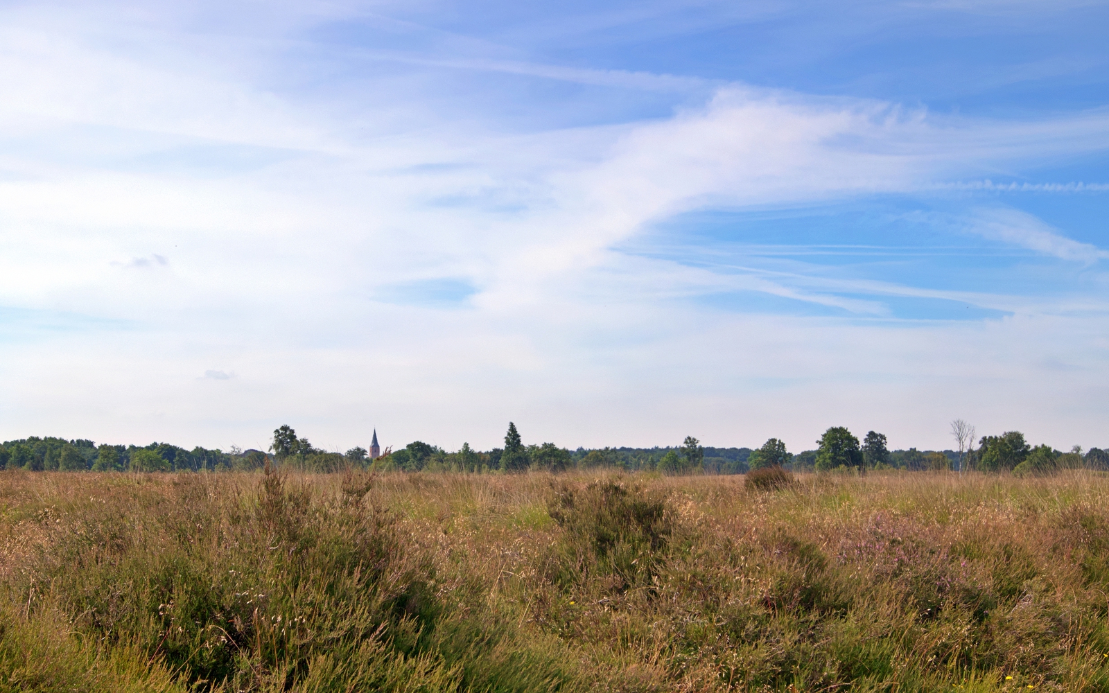 Het natuurgebied het Balloërveld