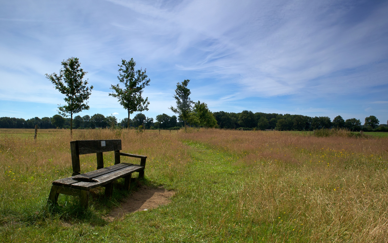 Het natuurgebied het Balloërveld