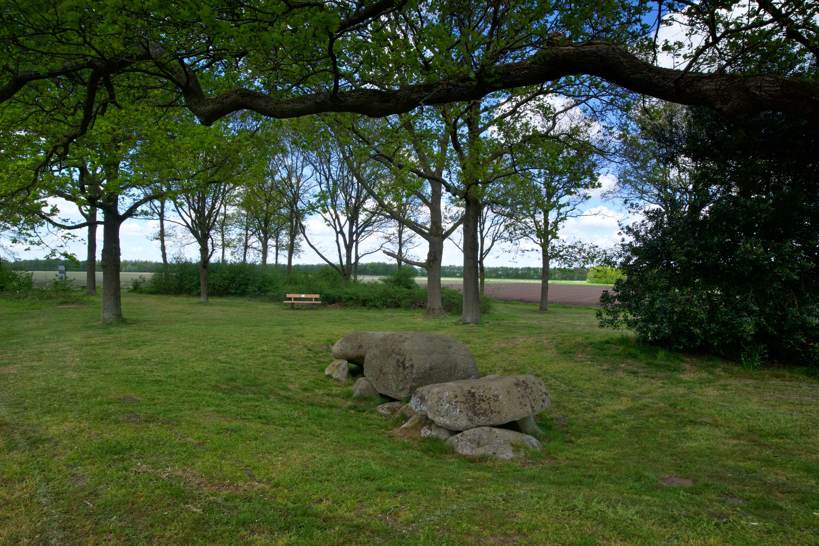 Noordse Veld, hunebed D5