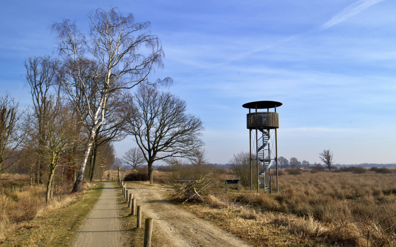 Het Fochteloërveen uitkijktoren Esmeerweg