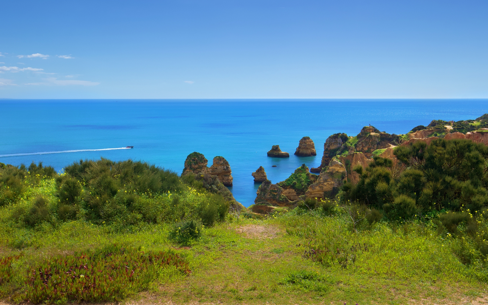 Ponta da Piedade