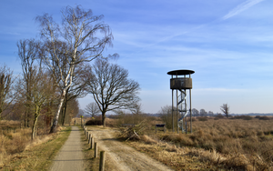 Het Fochteloërveen is een 2500 hectare (ha) groot natuurgebied met hoogveen op de grens van de Nederlandse provincies Friesland en Drenthe, bij het dorp Veenhuizen.
