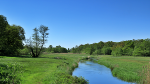 Oudemolen is een plaats in de Drentse gemeente Tynaarlo. . Het dorp is genoemd naar de vervallen watermolen die hier in de Drentsche Aa heeft gestaan. Het ligt in het Nationaal beek- en esdorpenlandschap Drentsche Aa.
