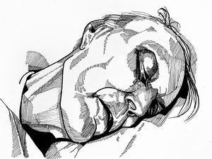 portraits of approaching and final ending