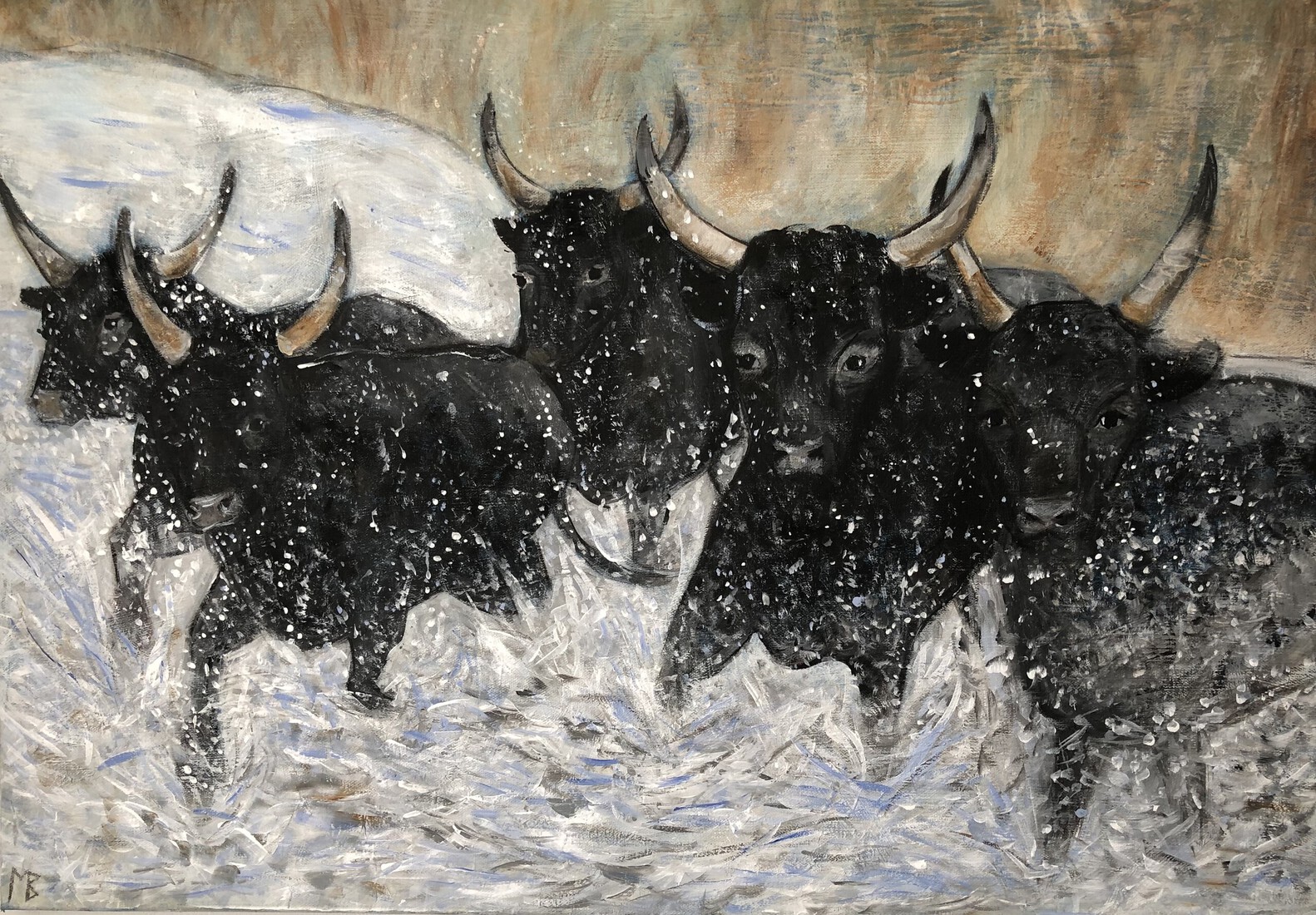 Stieren van de Camarque