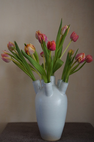 Tulpenvaas 6