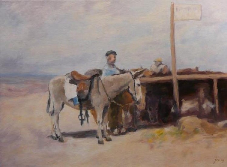 Ezeltjes op het strand