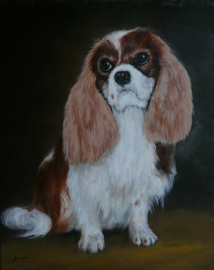 Cavalier King Charles