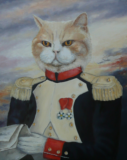 Guy, poes, kater in kostuum