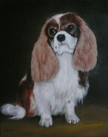 Cavalier King Charles