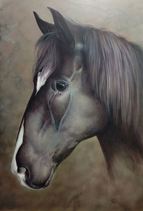 Airbrush is een techniek waarbij gebruik wordt gemaakt van een klein verfpistool dat werkt op luchtdruk. Met deze techniek zijn prachtige kleurcombinaties te maken en vloeiende kleurovergangen. De techniek leent zich uitstekend voor realistisch werk.