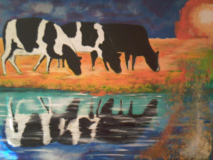 koeien in water