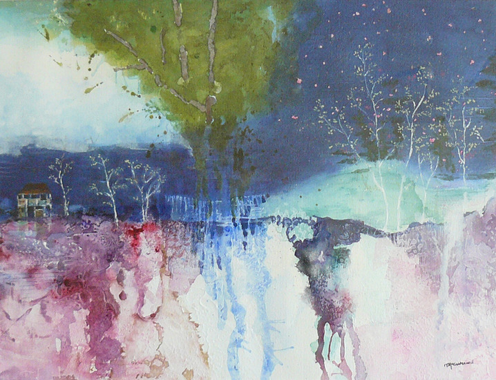 Huis en bomen langs ravijn