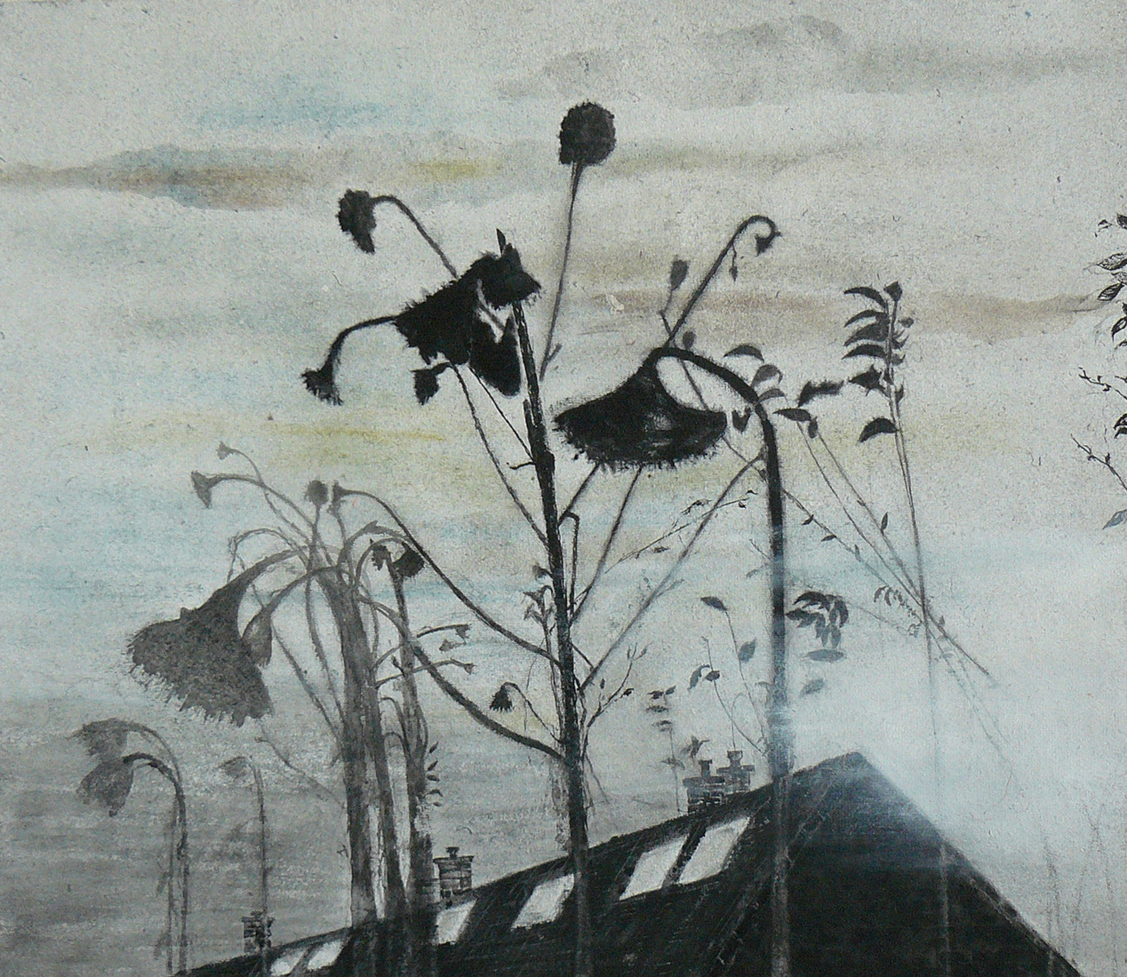 Zonnebloemen in verval