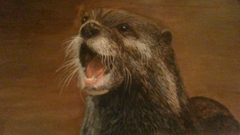Otter