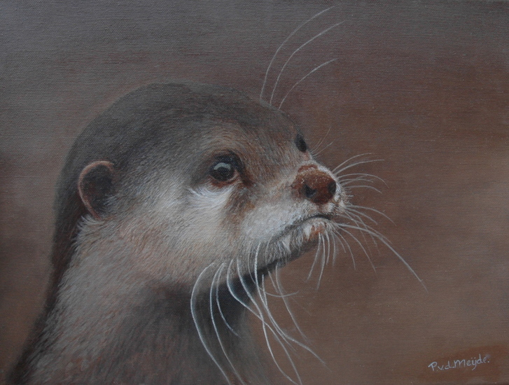 Otter