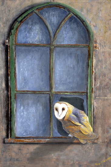 Kerkuil voor een kerkraam