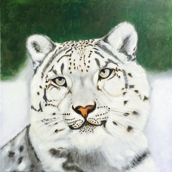 Sneeuwpanter voor Jade