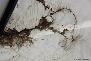 Onderweg is een reeks foto's van nu-momenten. Ze laten de schoonheid van een object in verval zien door de natuur. Tegelijk zien we er de eenzaamheid van omdat de mens er niet meer naar omkijkt. Zolang de mens er zich niet aan stoort zal het object blijven bestaan.