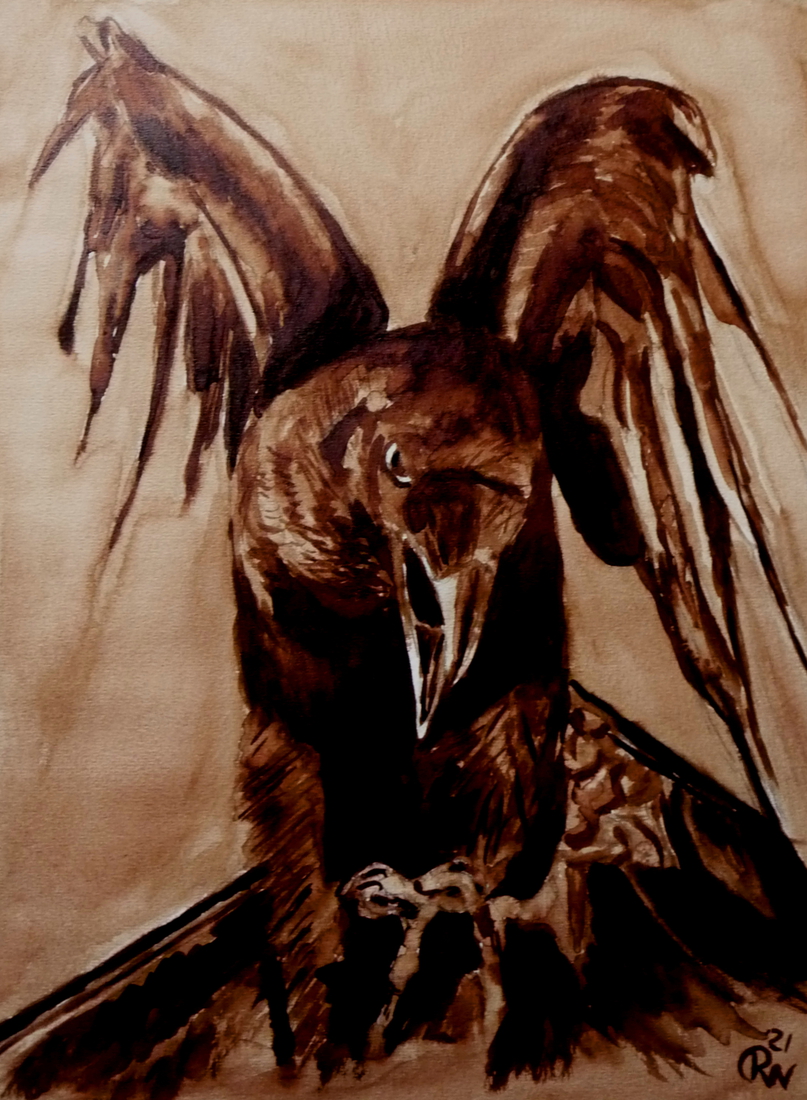 Brown Raven