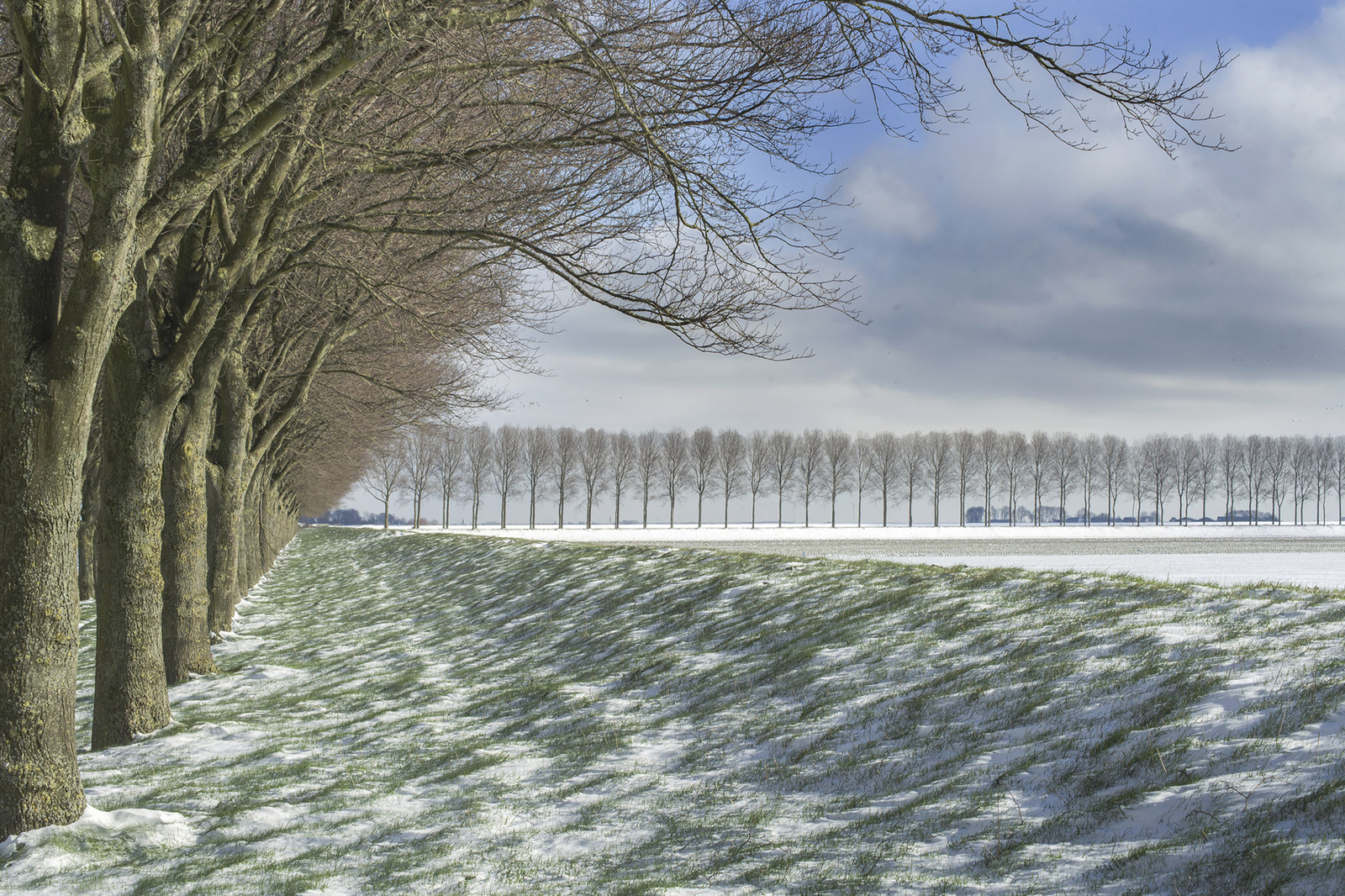 sneeuw in de polder