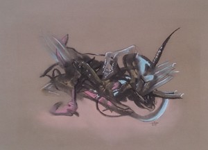 Fantasie. Tekeningen van fantasiedieren of creaturen. Ook abstract werk met organische elementen