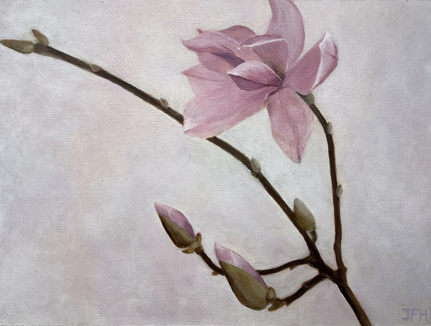 Magnolia