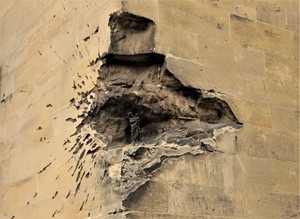 Fotografie is een van mijn 