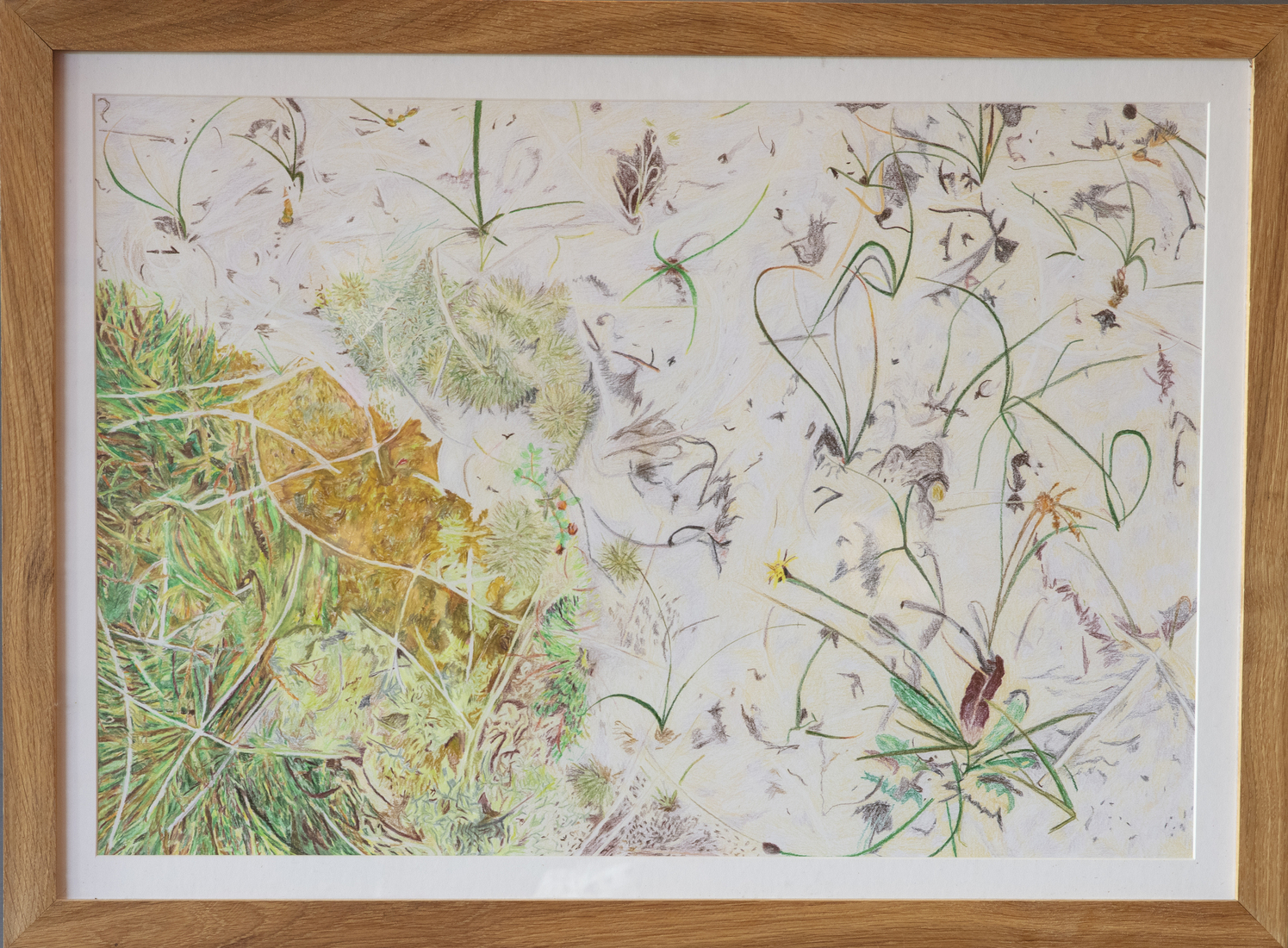 Perspectief vanuit het mos 